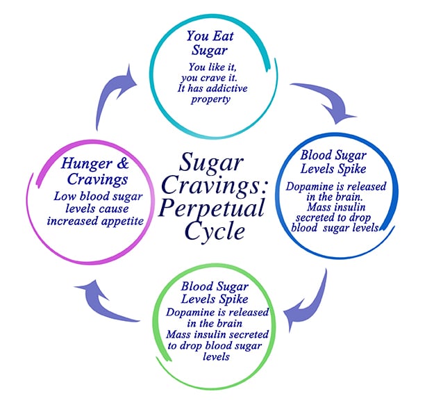 Sugar Addiction: The Perpetual Cycle